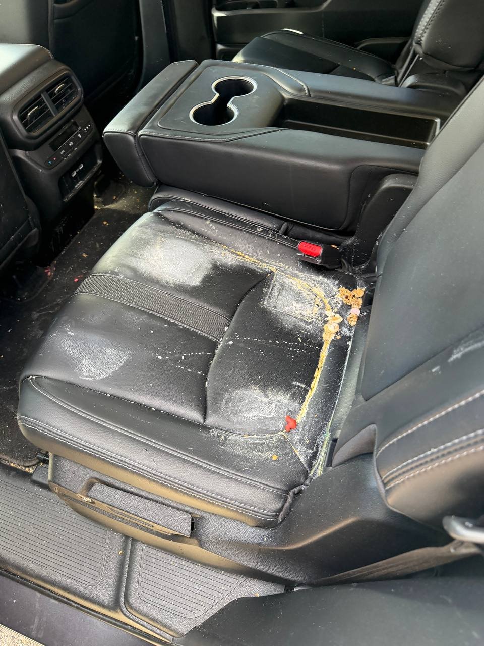 mobile auto detailing interior cleaning Needham MA
