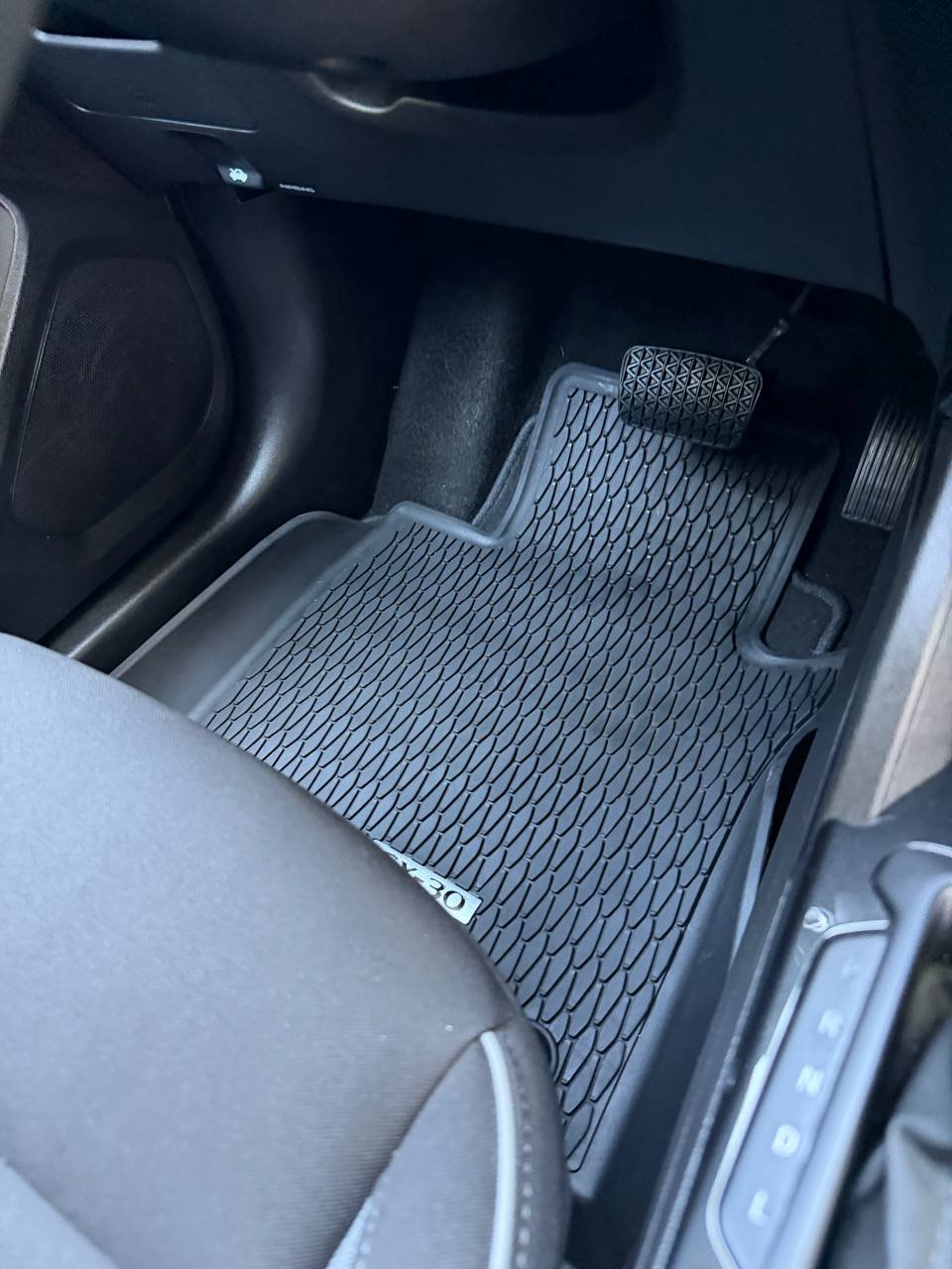 Audi floor mat extracted and cleaned