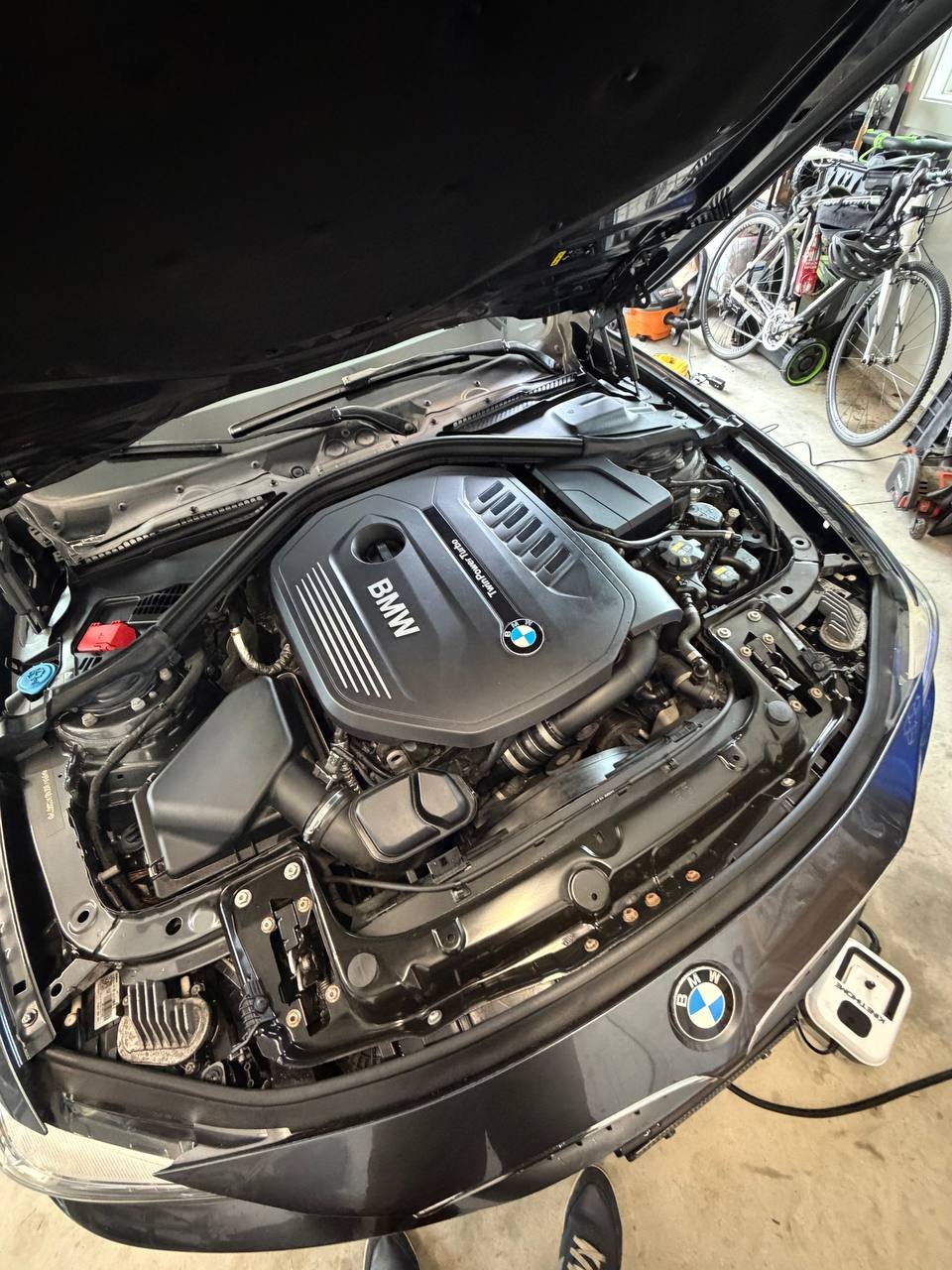 Mobile engine detailing Massachusetts — BMW engine bay detail result showing clean engine compartment by Deelway